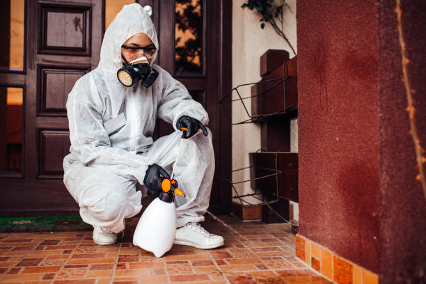 Attic and Crawl Space Rodent Treatment in Copiague