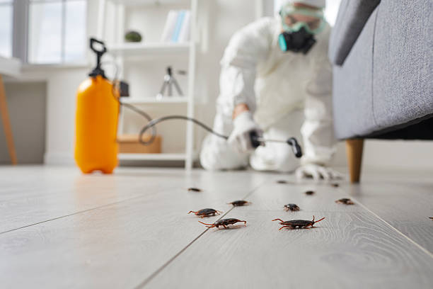 Commercial Rodent Management in Copiague